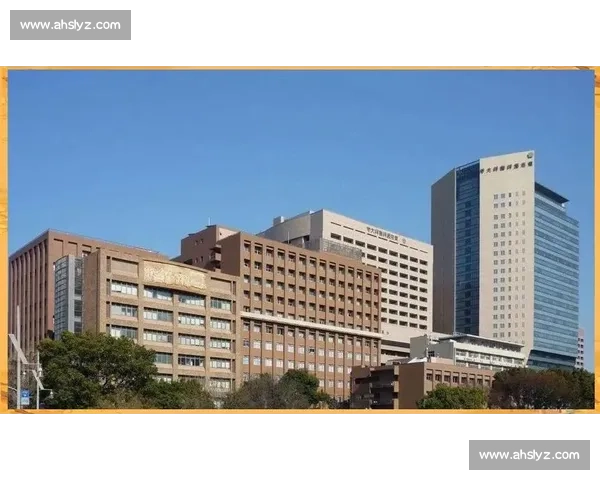 现代化进程中的东京：传统与未来的碰撞与融合